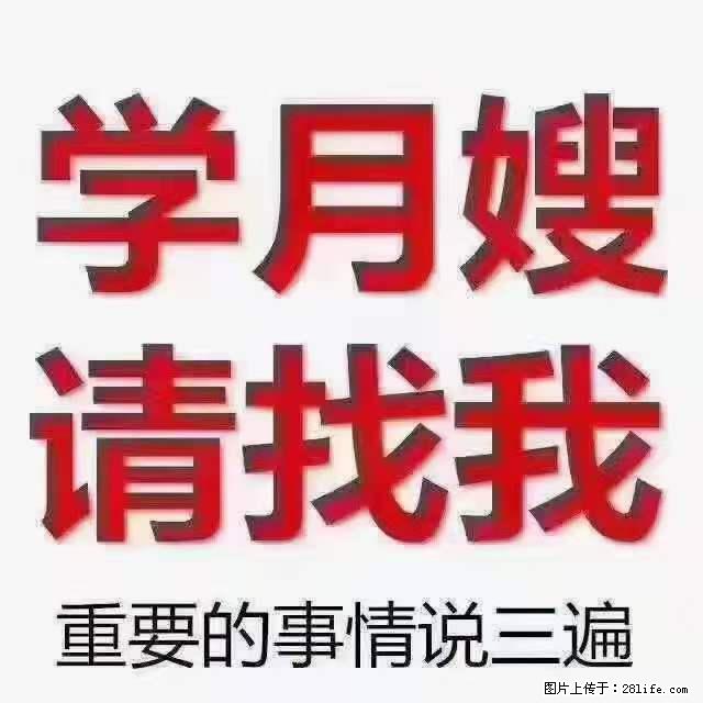 为什么要学习月嫂,育婴师? - 其他广告 - 广告专区 - 亳州分类信息 - 亳州28生活网 bozhou.28life.com