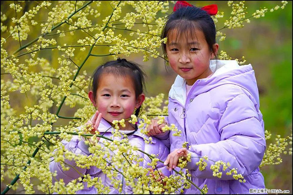 【春天，广西桂林灌阳县向您发出邀请！】米珠山前有片山苍子花在飘香 - 游山玩水 - 亳州生活社区 - 亳州28生活网 bozhou.28life.com