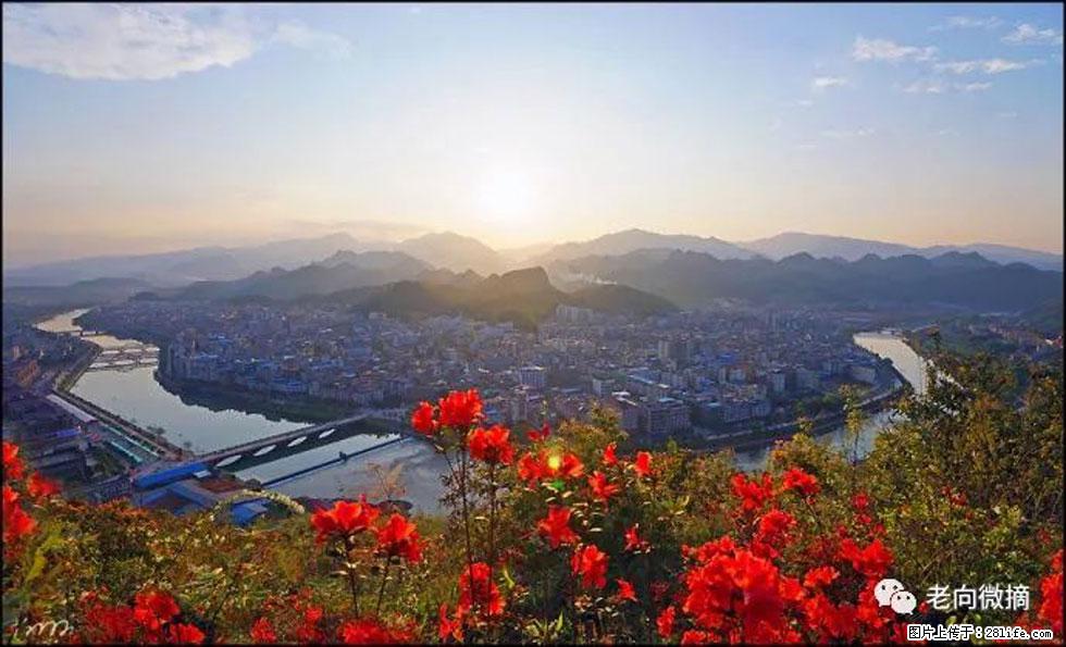 【春天，广西桂林灌阳县向您发出邀请！】登麒麟山，相约映山红 - 游山玩水 - 亳州生活社区 - 亳州28生活网 bozhou.28life.com
