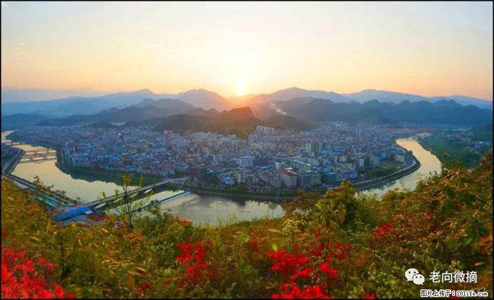 【春天，广西桂林灌阳县向您发出邀请！】登麒麟山，相约映山红 - 游山玩水 - 亳州生活社区 - 亳州28生活网 bozhou.28life.com