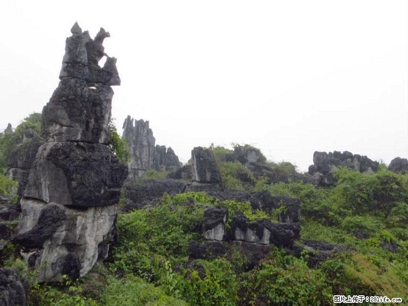 桂林旅游名城景点：灌阳文市石林 - 游山玩水 - 亳州生活社区 - 亳州28生活网 bozhou.28life.com