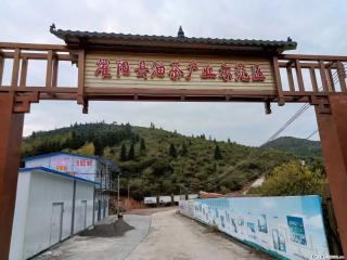 【灌阳县油茶产业示范区】一个有着充实的精神生活的人，对待身外之物自会有一种淡泊的态度 - 亳州28生活网 bozhou.28life.com