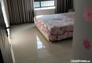 国购名城3室2厅1卫采光好急租屋弄干净 - 亳州28生活网 bozhou.28life.com