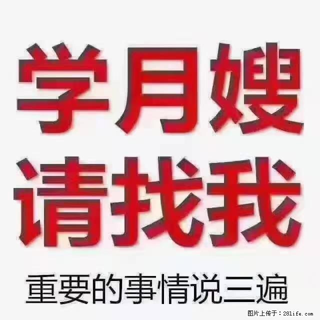 【招聘】月嫂，上海徐汇区 - 职场交流 - 亳州生活社区 - 亳州28生活网 bozhou.28life.com
