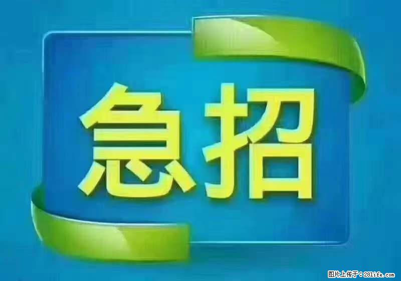 招出纳8000元/月，无证可以，要有相关经验，上海五险一金，包住，包工作餐，做六休一。 - 职场交流 - 亳州生活社区 - 亳州28生活网 bozhou.28life.com