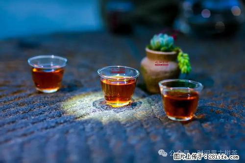 时间果百年古树2025年春红茶 - 购物交流 - 亳州生活社区 - 亳州28生活网 bozhou.28life.com