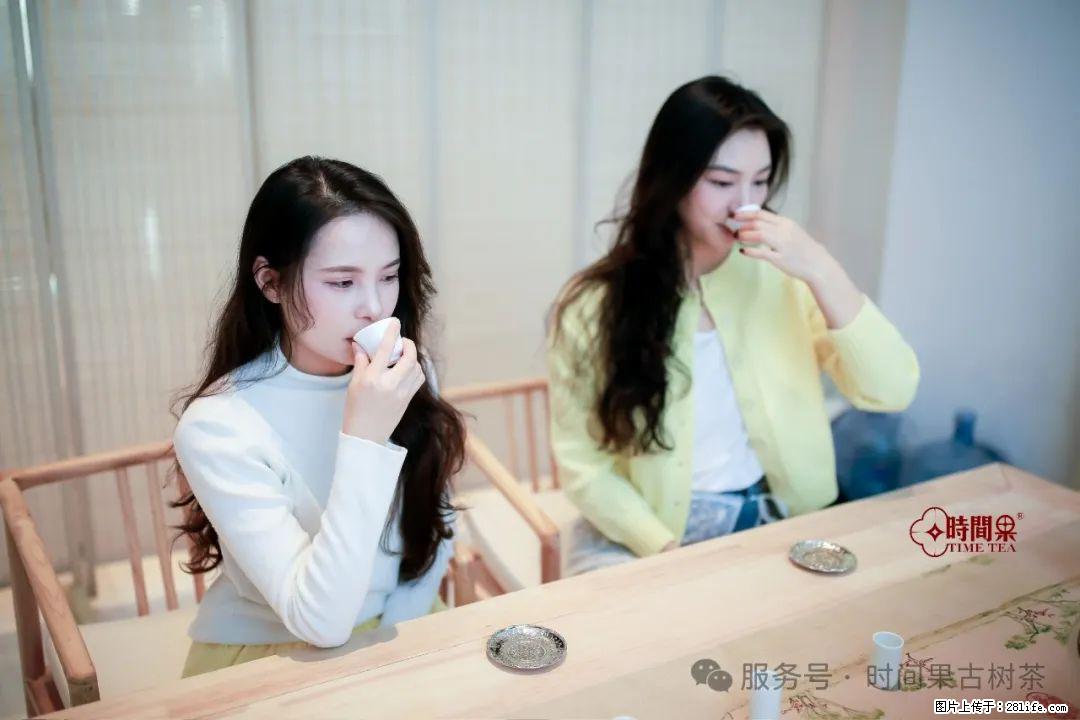 时间果百年古树龙珠普洱生茶 - 购物交流 - 亳州生活社区 - 亳州28生活网 bozhou.28life.com