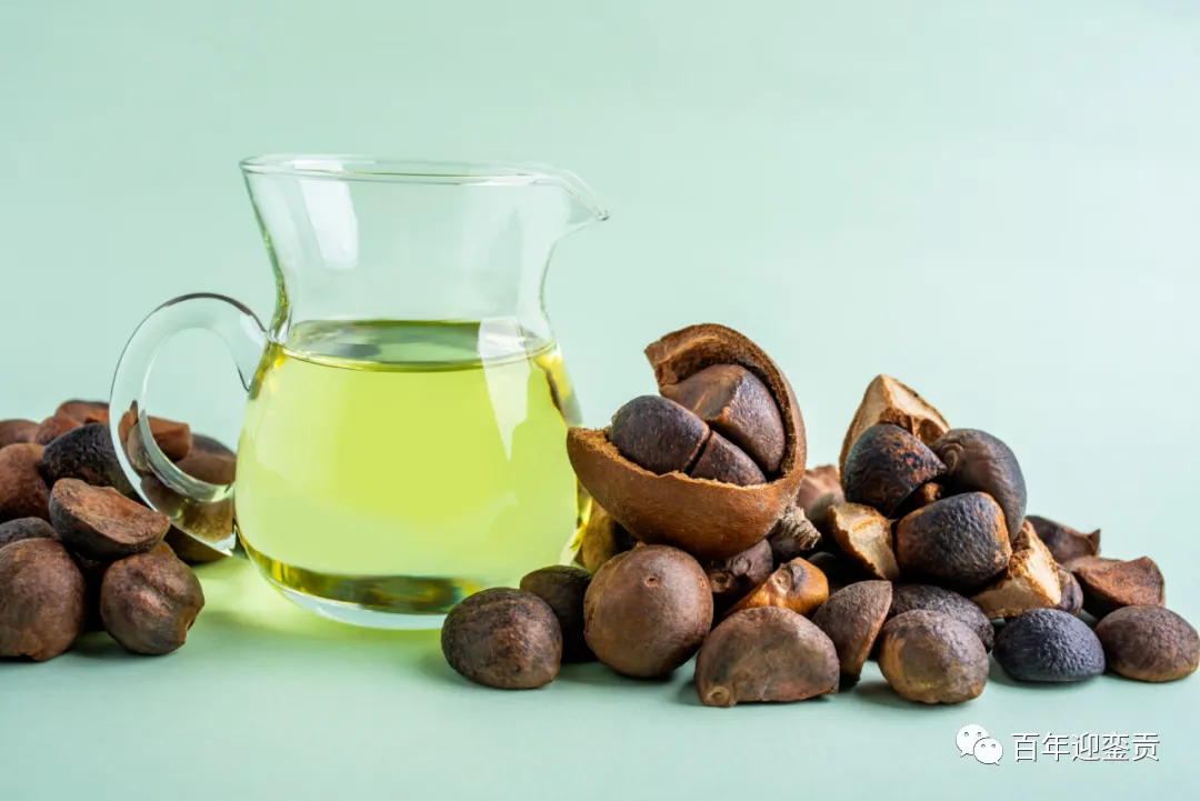 世界没有真相,只有认知,最好的食用油是中国的山茶油! - 亳州生活资讯 - 亳州28生活网 bozhou.28life.com