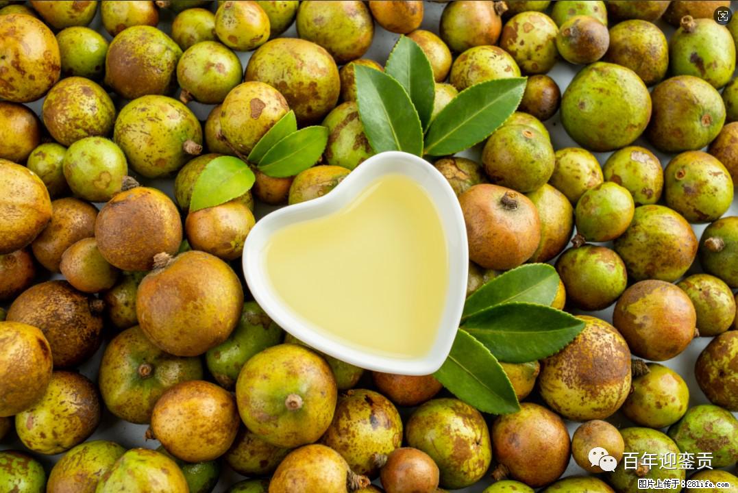 世界没有真相,只有认知,最好的食用油是中国的山茶油! - 亳州生活资讯 - 亳州28生活网 bozhou.28life.com