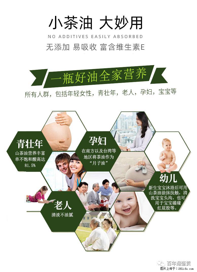 世界没有真相,只有认知,最好的食用油是中国的山茶油! - 亳州生活资讯 - 亳州28生活网 bozhou.28life.com