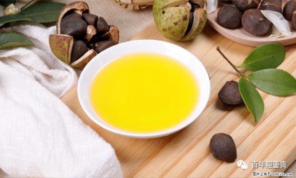 世界没有真相,只有认知,最好的食用油是中国的山茶油! - 亳州生活资讯 - 亳州28生活网 bozhou.28life.com