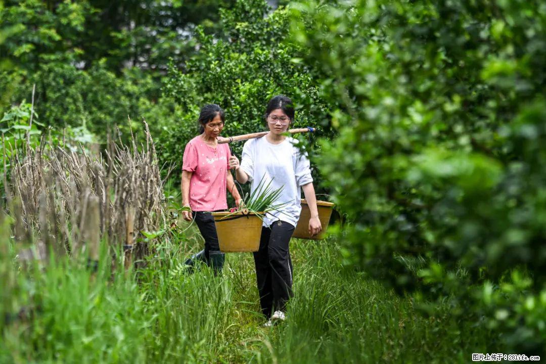 全网追的“扁担女孩”，找了一份暑假工，时薪12元 - 亳州生活资讯 - 亳州28生活网 bozhou.28life.com