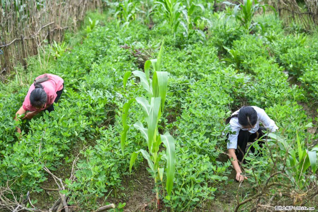 全网追的“扁担女孩”，找了一份暑假工，时薪12元 - 亳州生活资讯 - 亳州28生活网 bozhou.28life.com