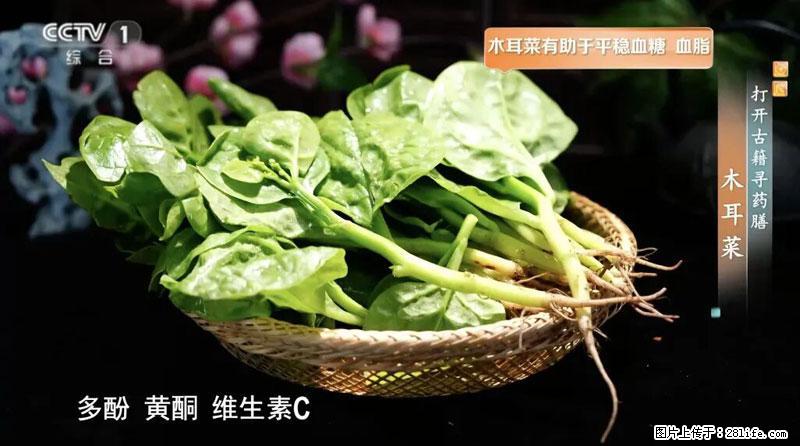 比牛奶补钙还厉害！凉血解毒、稳血糖...这菜冬天必吃，很多人却当草 - 亳州生活资讯 - 亳州28生活网 bozhou.28life.com