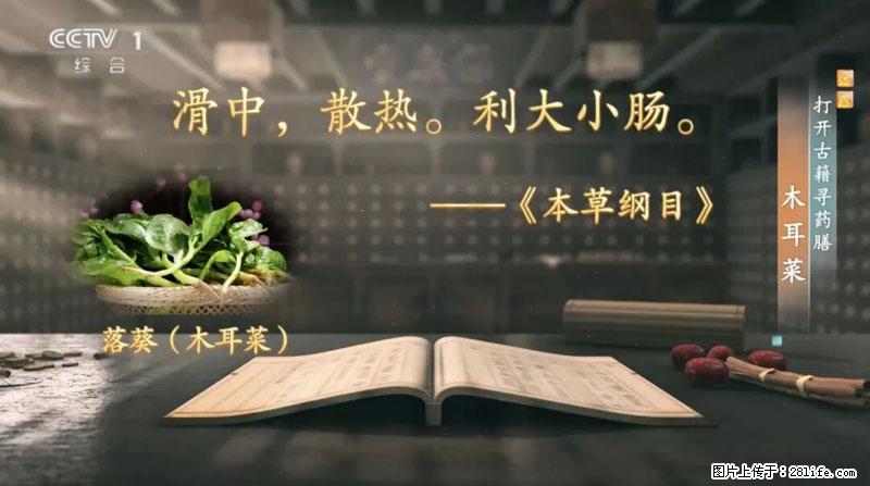比牛奶补钙还厉害！凉血解毒、稳血糖...这菜冬天必吃，很多人却当草 - 亳州生活资讯 - 亳州28生活网 bozhou.28life.com