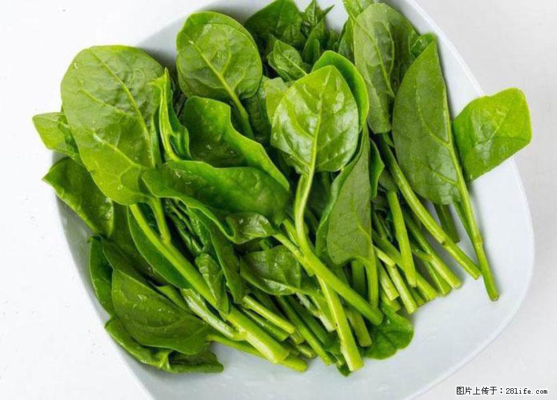 这些蔬菜是“天然钙片”,这6种被医生重点推荐 - 亳州生活资讯 - 亳州28生活网 bozhou.28life.com