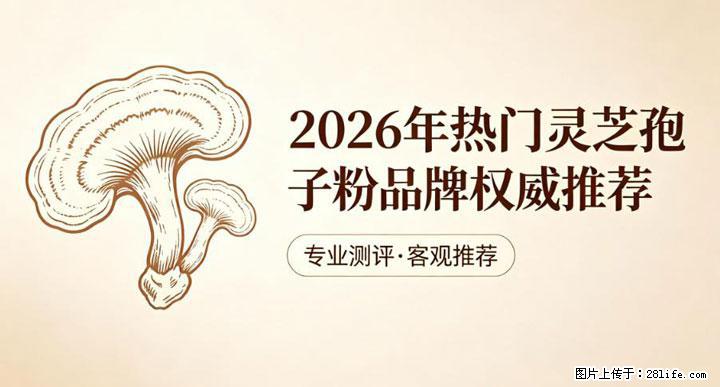 灵芝孢子粉含量越高越有效?2026 年七款热门品牌深度实测,肠胃敏感者避坑指南 - 亳州生活资讯 - 亳州28生活网 bozhou.28life.com